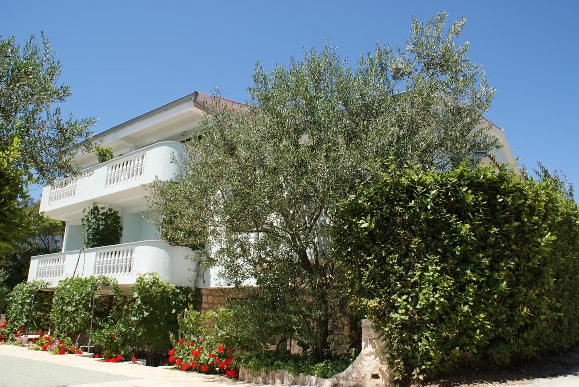 Apartments Jurjevic Petrcane Esterno foto